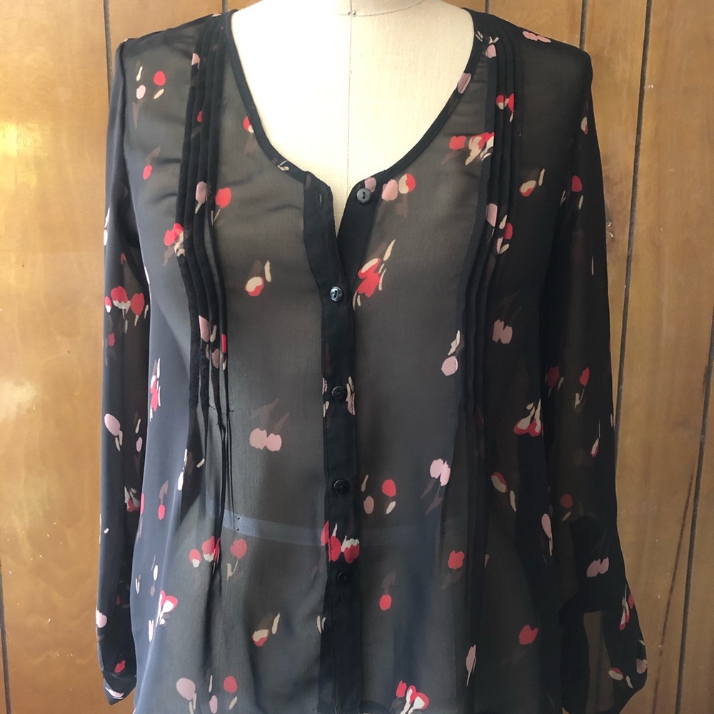 Sheer Blouse